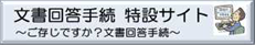 文書回答手続　特設サイト